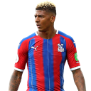 Patrick van Aanholt